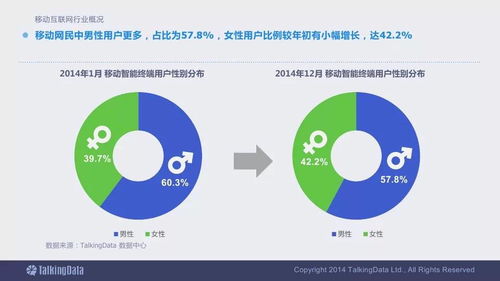2014移動(dòng)互聯(lián)網(wǎng)數(shù)據(jù)報(bào)告終極版 洞悉變革，把握未來(lái)